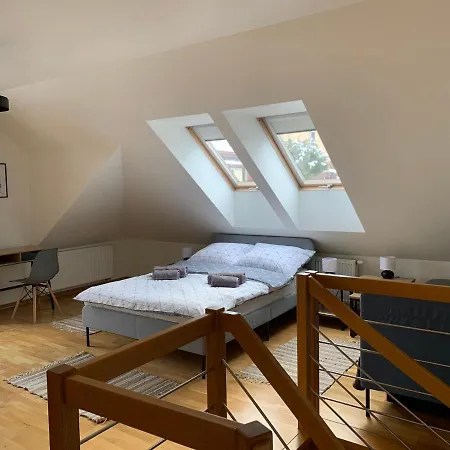 Apartament Sloneczna Rapsodia - Blisko Parku Zdrojowego - Piekny Widok - Ogrod - Taras Rabka Exteriér fotografie